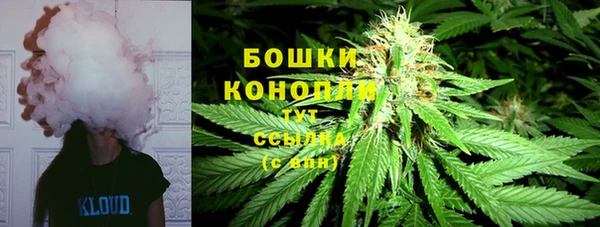 сатива Абинск