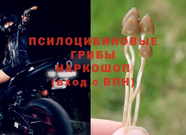 марки lsd Абаза