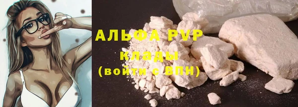 сатива Абинск
