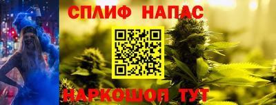 спиды Моздок