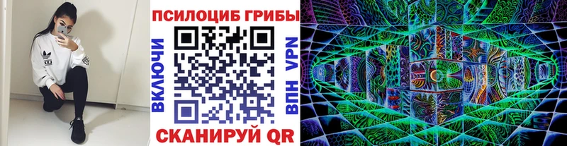 Псилоцибиновые грибы Psilocybine cubensis Азов