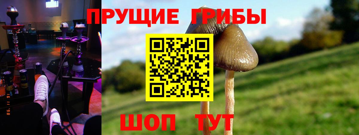 Азов  Псилоцибиновые грибы Psilocybe  Вход с VPN  Галлюциногенные грибы MAGIC MUSHROOMS 