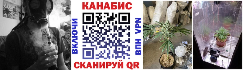 где купить наркоту  Азов  Бошки марихуана индика 